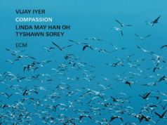 Vijay Iyer (Compassion)