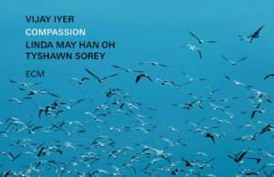 Vijay Iyer (Compassion)
