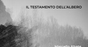 Marcello Abate, Matteo Padoin, Daniele Patton, Valentina Fin (Il testamento dell’albero)