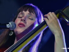 Ellen Andrea Wang Trio