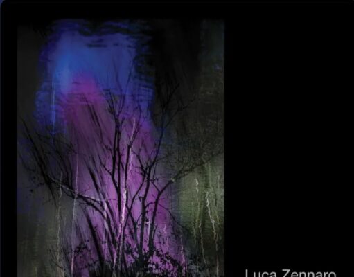 Luca Zennaro (Stua scura)